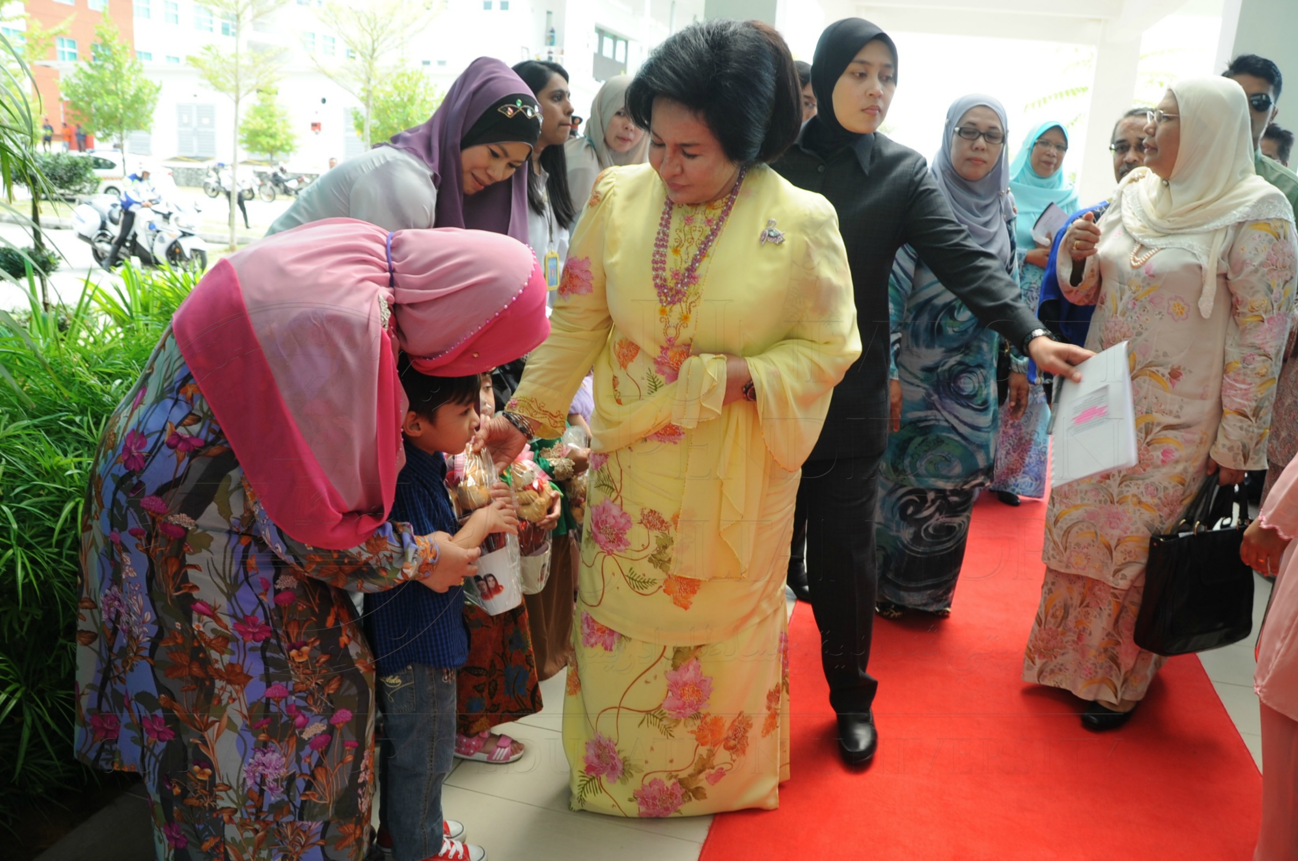 PRO16 32 NCDC HAS 3413